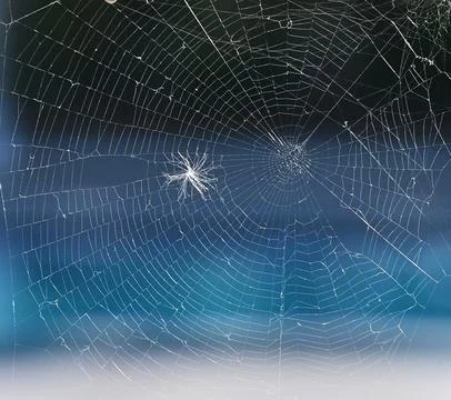 Spiderweb texture and pattern macro stock photo Stock Photos