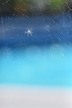 Spiderweb texture and pattern macro stock photo Stock Photos