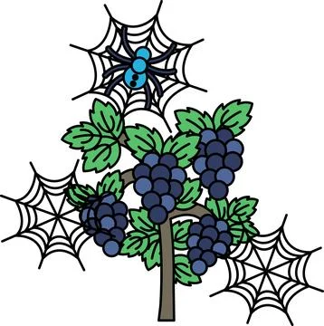 Spiderwebs frame clusters of ripe, detailed berries Stock Illustration