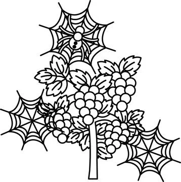 Spiderwebs frame clusters of ripe, detailed berries Stock Illustration