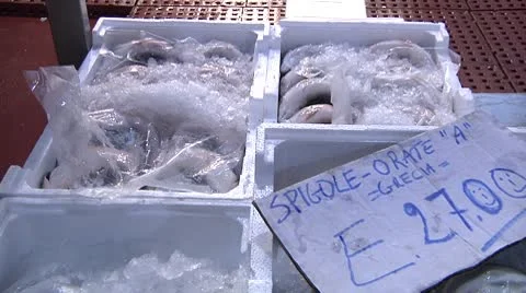 Spigole, orate. Stock Footage 8964006