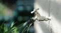 Spigot Leaking HD Footage