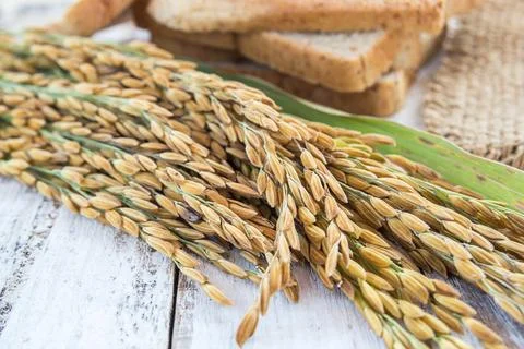 Spike and whole wheat bread on white wooden table Stock Photos