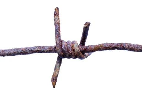 Spike of old rusty barbed wire isolated on white macro photo 写真素材