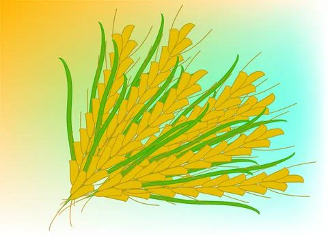 Spike of wheat Illustrazione stock