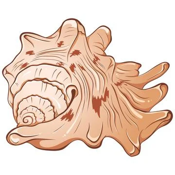 Spiked seashell arbitrary shape color Stock Illustration