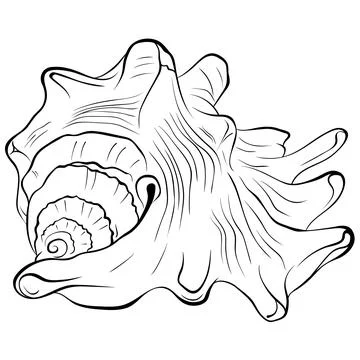 Spiked seashell arbitrary shape line art Stock Illustration