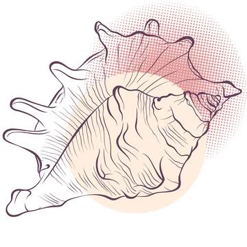 Spiked seashell on spotted background Stock Illustration