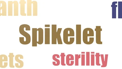 Spikelet Word Cloud Animated Isolated Stock Footage 103563167