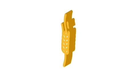 Spikelet yellow wheat isometric icon animation Stock Footage 327293432