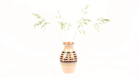 Spikelets of grass in a vase on a white background. Rotation 360. Stock Footage 156574134