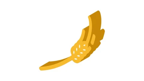 Spikelets ripe wheat isometric icon animation Stock Footage 327293403