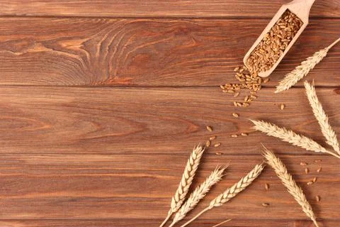 Spikelets of wheat on a colored background top view. Stockfoto's