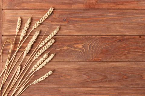 Spikelets of wheat on a colored background top view. Stockfoto's