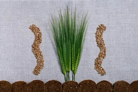 Spikes and bread Foto stock