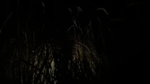 Spikes at night Stock Footage 116897613