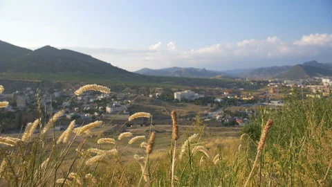 Spikes in the sunshine Stock Footage 99196978