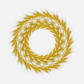 Spikes of wheat, barley or rye are woven into one bundle Stock Illustration