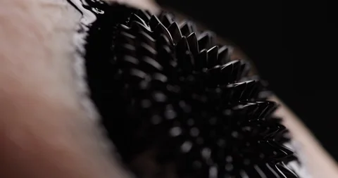 Spiky abstract organsim in a pull focus shot Stock Footage 104260839