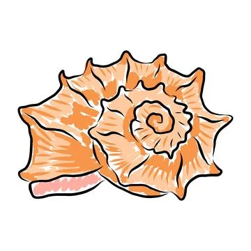 Spiky orange sea shell murex conch vector illustration 스톡 일러스트