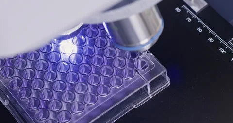 Spill containment pallet studying with microscope in lab Stockbeeldmateriaal 274139598