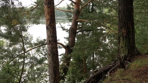 Spill River Chernitsa Stock Footage 101330300