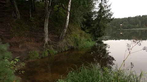 Spill River Chernitsa Video stock 101330443