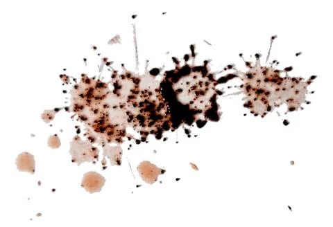 Spilled coffee on a white background Stock Illustration