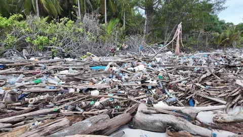 Spilled garbage on ocean beach used dirty plastic bottles and woods 스톡 동영상 268707650