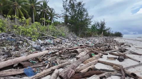Spilled garbage on ocean beach used dirty plastic bottles and woods 스톡 동영상 268707671