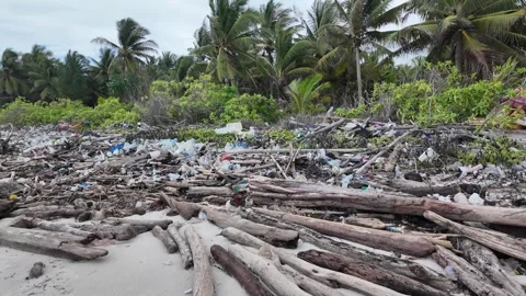 Spilled garbage on ocean beach used dirty plastic bottles and woods 스톡 동영상 268707743
