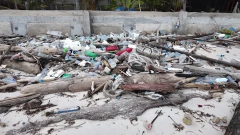 Spilled garbage on ocean beach used dirty plastic bottles and woods 스톡 동영상 268708094