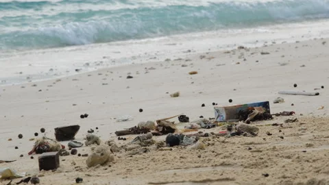 Spilled garbage on the ocean sandy beach Stock Footage 240655849