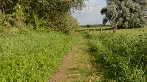 Spilled trail Stock Footage 41170888