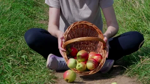 Spilling apples from the basket Stock Footage 324501661