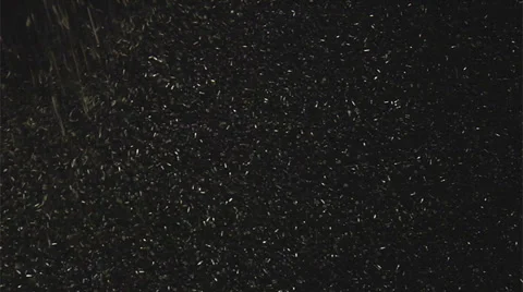 Spilling of black plastic granules, HD 1080p Stock Footage 37098526