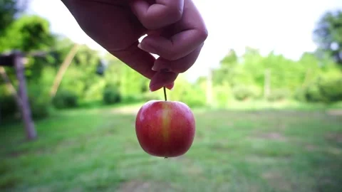 Spin the apple2 Stock Footage 162876146