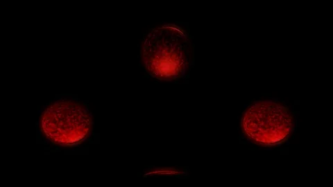 Spin coin color Stock Footage 99443877