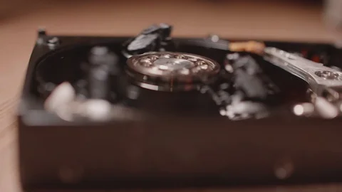 Spin disc in hard drive on which sit flies and bugs. Slowmo macro. Soft focus Stock Footage 124313226