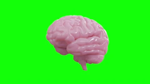 Spin pink brain on isolate green screen 스톡 동영상 228078552