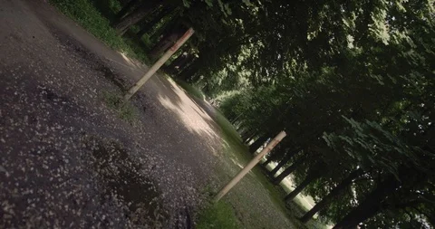 Spin rotation effect shot: A walk in a wonderful spring oak park. Slow motion Stockbeeldmateriaal 128216144