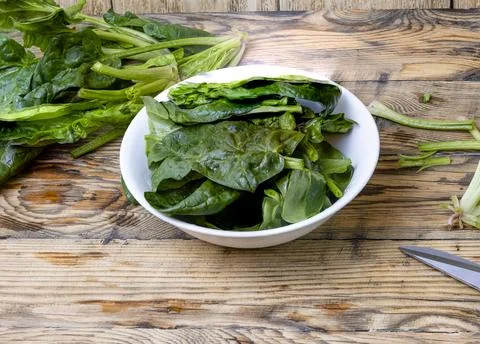 Spinach-7 Stock Photos
