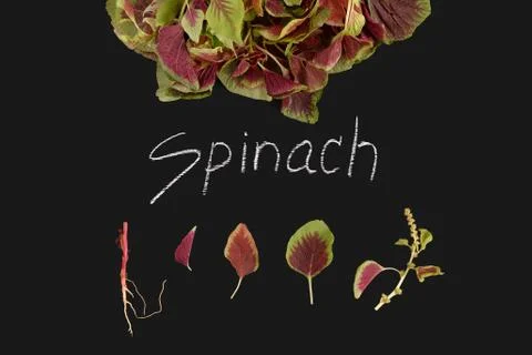 Spinach amaranth  red fresh vegetable organic blackboard Stock Photos
