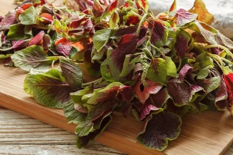 Spinach amaranth  red fresh vegetable organic cooking salad Stock Photos