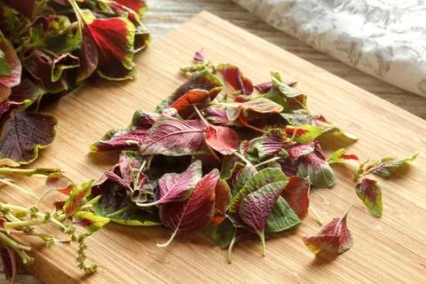 Spinach amaranth  red fresh vegetable organic cooking salad Stock Photos