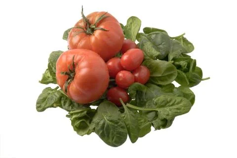 Spinach and tomatoes Stock Photos