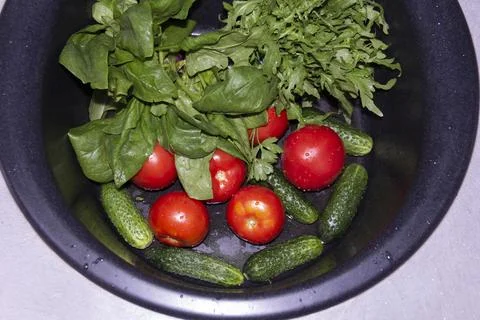 Spinach, arugula, cucumbers, tomatoes, basil collected at their dacha are was Stock Photos
