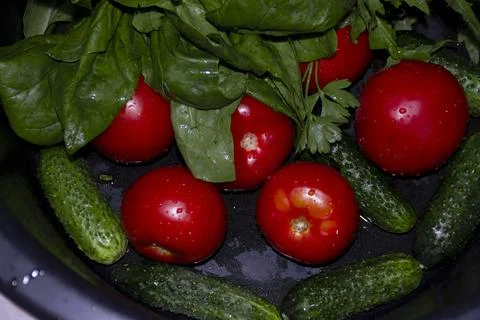 Spinach, arugula, cucumbers, tomatoes, basil collected at their Stock Photos