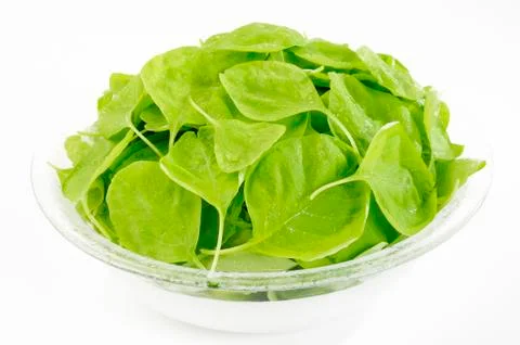 Spinach in bowl Stock Photos