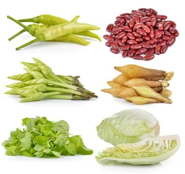 Spinach, Cabbage, Moonflower, red beans, Fingerroot, chili on white backgroun Stock Photos
